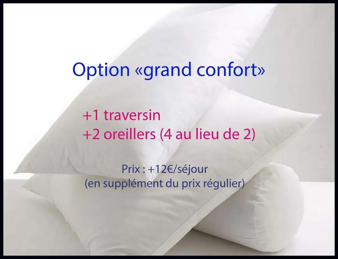 Studio Charme Et Confort Aux Cordeliers Lyon Apartment
